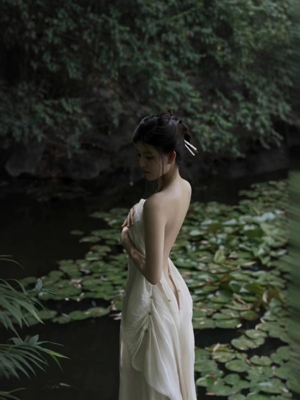 Nowa chińska sukienka w stylu  – Photography Zen recenzja i cena